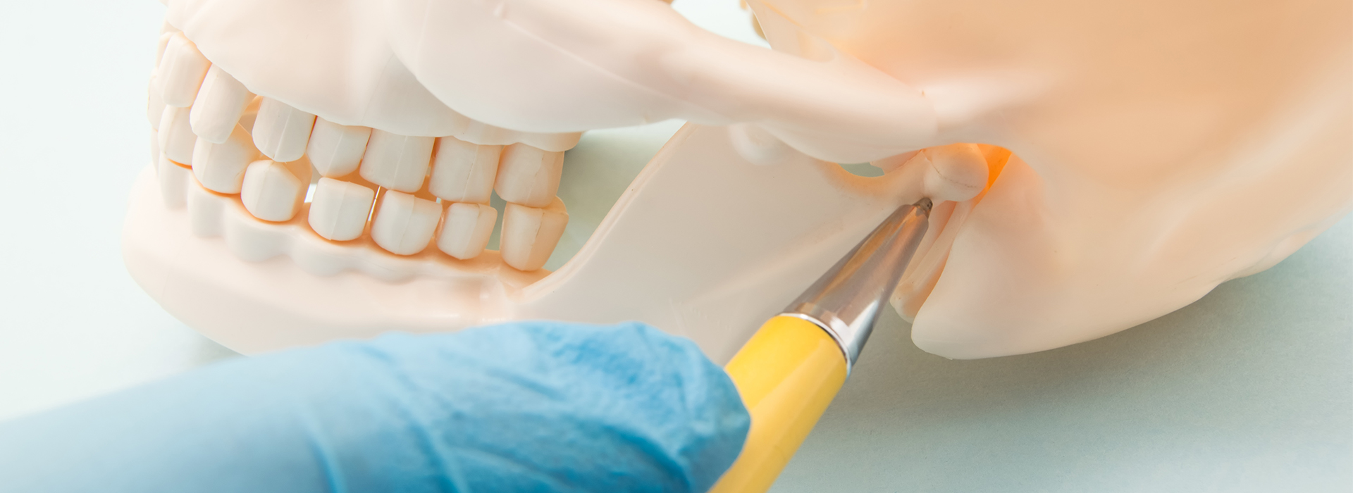 White Birch Family Dental | TMJ Disorders, Fluoride Treatment and Preventative Program